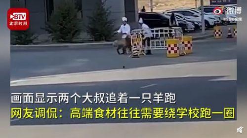 新疆网友押车爆料视频